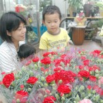 きょう９日は母親に日ごろの感謝を伝える「母の日」。店内には真っ赤なカーネーションが並べられ人気を集めていた＝８日、市内の花屋