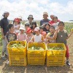 トウモロコシを収穫した子どもたち＝19日、上野野原