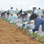 植栽作業で土壌保全に努める参加者