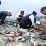 海で魚のうろこ取りをする男たち＝11日、クディ浜