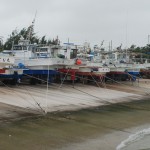 台風対策のロープで固定された漁船＝18日、荷川取漁港