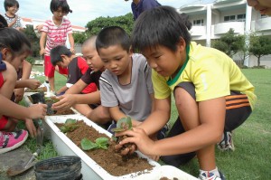 花の苗を植え付ける児童ら＝７日、下地小学校