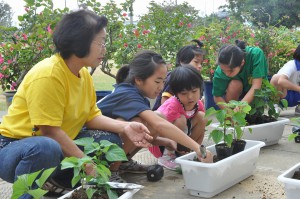 花の苗を植え付ける児童たち＝５日、上野小学校
