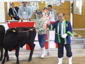一番牛は下地村長が上場し44万円台の高値が付いて市場内は活気づいた＝19日、ＪＡおきなわ多良間家畜市場