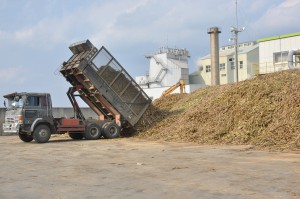 機械刈り原料を工場に搬入するトラック＝29日、宮古製糖城辺工場