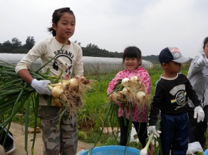 タマネギを収穫し笑顔を見せる児童たち＝10日、平良福山の農場