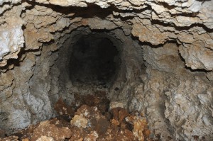 陥没で出現したキビ畑の穴。人工的に掘られたとみられる＝24日、城辺下北