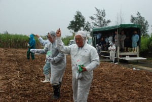 雨合羽姿で種をまく下地市長ら＝26日、上野地区のサトウキビ畑