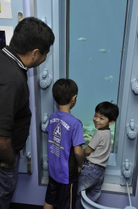 海中観察施設の窓から魚を見て楽しむ家族連れ＝６日、海中観察施設