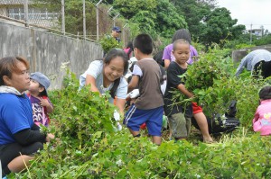 収穫作業を楽しむ児童たち＝22日、宮原小学校