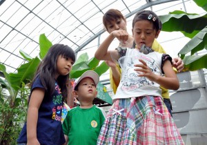 通常はスタッフが行う放チョウを体験して喜ぶ子どもたち＝４日、宮古パラダイスの蝶々園
