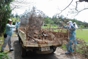 台風で倒れた木や折れた枝などをトラックに積み込む参加者ら＝７日、カママ嶺公園
