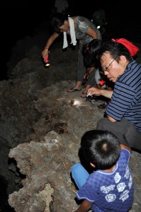 海辺の岩場に集まったオカガニを観察する参加者ら＝15日、池間島