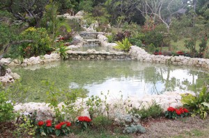 「宮古花の王国」づくりの柱となる市熱帯植物園のリニューアル事業が完成。天然水が流れる水辺を創出し、周辺には花木などを植栽した
