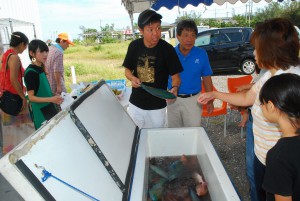買い物客らに人気が高かった新鮮な魚＝25日、宮古島漁協の直売店