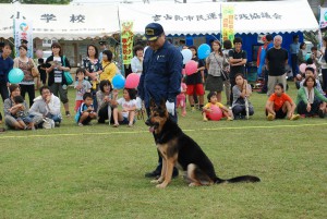 公表を博した警察犬の訓練実演