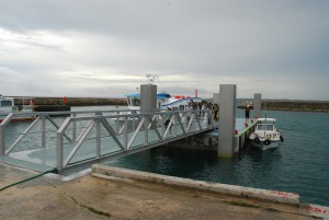 このほど供用開始した浮き桟橋＝大神漁港
