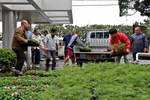 配布された苗木を積み込む関係者ら＝３日、市上野庁舎