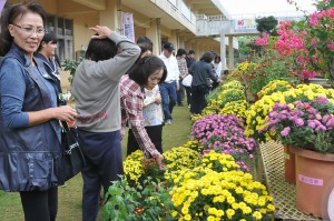 大勢の市民が訪れ、生徒が育てた菊を購入していた＝４日、鏡原中学校