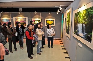 自然の美しさなどが表現された作品を鑑賞する人たち＝17日、市中央公民館