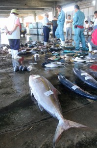夏期には大漁の魚類が上場される＝宮古島漁協（資料写真）