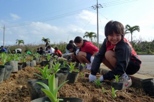 福嶺小学校の児童らがテッポウユリの球根１３００個を植栽した＝30日、東平安名崎公園入口