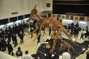 高さが約５㍍にも及ぶ恐竜サウロロフスの骨格標本は来場者を圧倒＝３日、宮古島市中央公民館