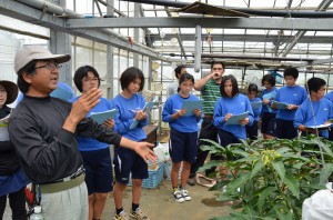 マンゴー栽培についての説明に聞き入る生徒ら＝２３日、吉野果樹園