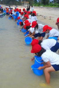 子どもたちは、バケツの中から稚ガニをすくい上げて放流した＝１８日、伊良部の佐和田の浜