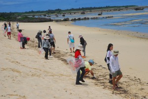 漂着ゴミを回収する参加者ら＝２日、佐和田の浜