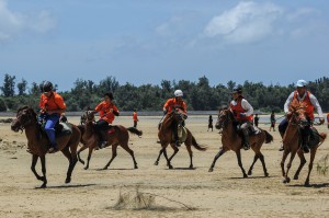 恒例の浜競馬には宮古馬７頭が出走した＝１７日、サニツ浜