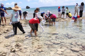 海の生物を探す児童たち＝３日、平良狩俣のビーチ