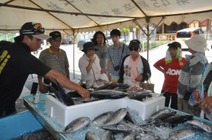 新鮮で安価な魚が飛ぶように売れたパヤオの日まつり＝１２日、伊良部漁協