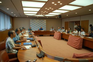 県振興推進委員会で沖縄２１世ビジョン実施計画を決定した＝１３日、県庁特別会議室