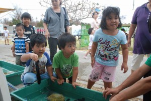 海の生き物に触って喜ぶ子どもたち＝7日、荷川取漁港内広場