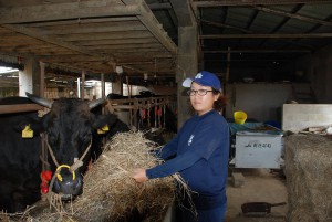 牛に草を給餌する村吉さん＝13日、上野新里の渡真利さんの牛舎