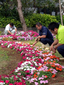 色とりどりの花々が庁舎を彩っている＝28日、市役所上野庁舎前庭