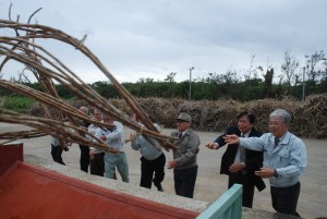 安村社長（右から３人目）らがキビ束をベルトコンベアに投げ入れ、操業が本格化した＝25日、宮古製糖伊良部工場
