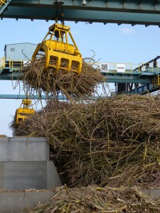 操業１週間で９４００㌧の原料を搬入した沖縄製糖宮古工場＝15日、下地上地
