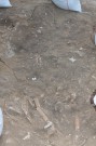 同じ遺跡の中から発見された無土器時代のものと見られる人骨