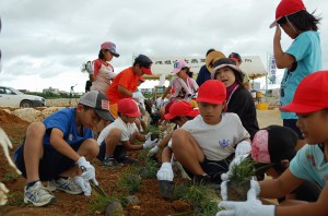 イベントには小学校では初めて久松小４年生児童が参加。協力し合いながら土壌流出を防ぐための植栽活動を行った＝５日、市平良の松原地区土地改良現場
