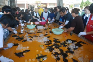魚を解体する女子生徒とその保護者たち＝25日、伊良部漁協