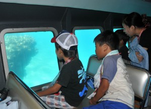 魚やサンゴ礁を鑑賞する子どもたち。魚が現れるたびに歓声を上げた＝３日、上野宮国沖の海中