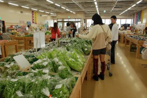 地元産の安い旬の野菜が並ぶようになった＝23日、市内の店舗