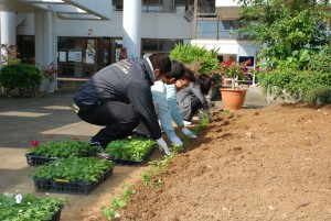花苗を植える職員たち＝29日、市役所上野庁舎