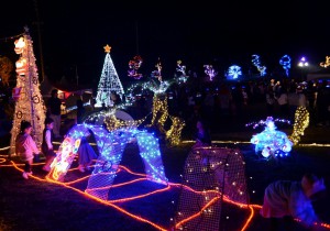 今年は新たに「保育園コーナー」も設けられ、約３万球の光がクリスマスの雰囲気を盛り上げている＝14日、カママ嶺公園多目的広場