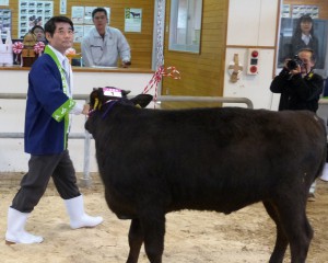 伊良皆村長が引く「１番牛」が高値をつけ、会場が沸いた＝20日、ＪＡおきなわ多良間家畜市場