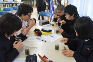 生徒たちはめんつゆで味付けたモズクに舌鼓を打ち「おいしい」と喜んでいた＝３１日、狩俣中学校