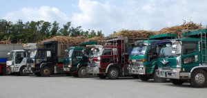 サトウキビを満載した大型トラックがずらりと並んだ＝16日、沖縄製糖宮古工場
