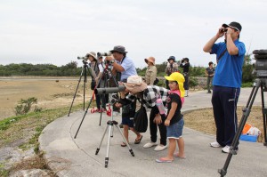 野鳥を観察する参加者たち＝１１日、与那覇湾
